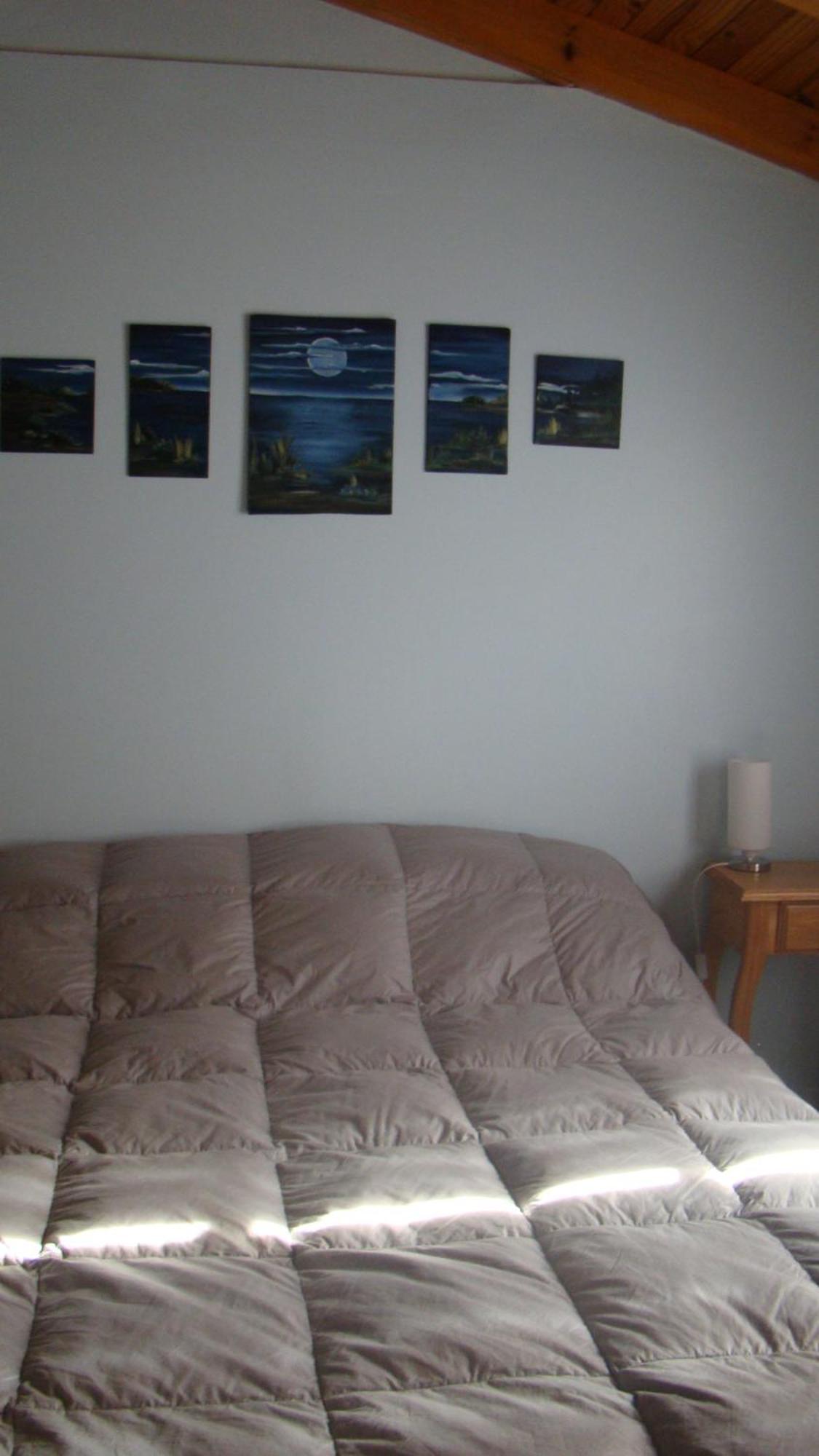 Hosteria Plas Y Coed Gwesty Gaiman Luaran gambar